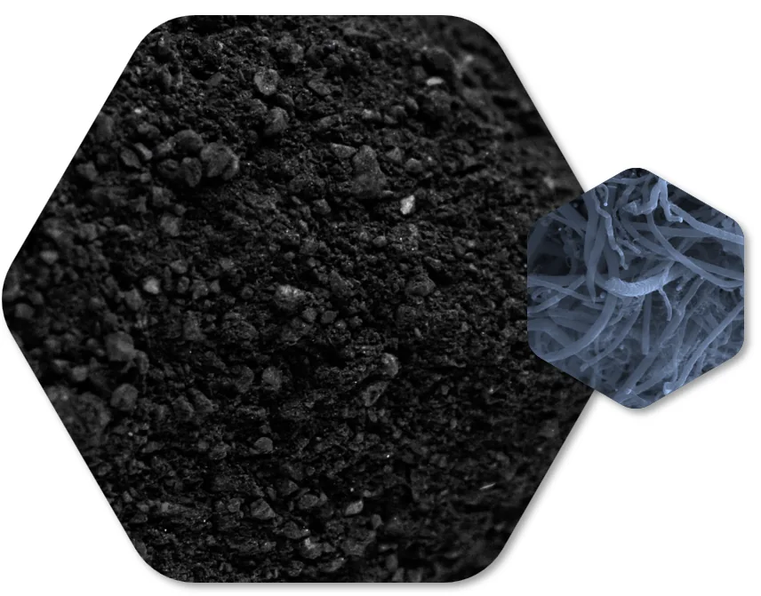 Composición de CarbonLith