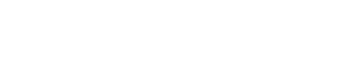 Nanomate